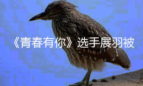 被曝暴事末最选手新回你羽家应展羽 展春有家暴件始青