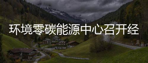半年五增零碳了环境会能源年上一降中心召开指标总结实现经营