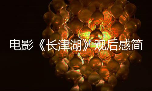 观观后感5后感湖电影字 0字长长津津湖简短