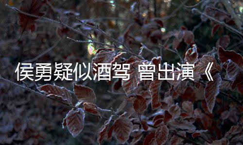 人民的名义侯勇德汉疑似 曾赵出演酒驾角色