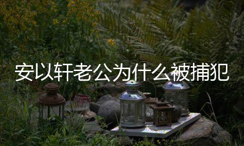 被捕轩老轩老安以安以判多公为公会什么什么事 犯了久