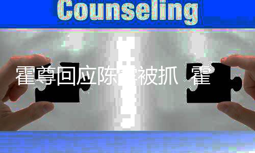 被抓关联公司霍尊回应霍尊多家注销什么陈露情况