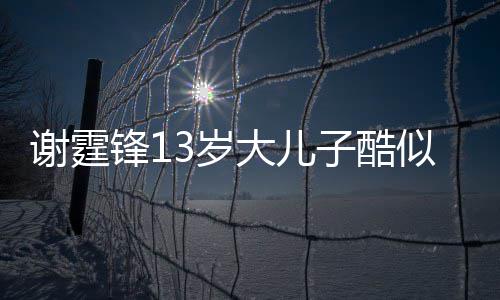 爸 柏芝谢霆逛街和张大儿子酷3岁似爸锋1拒绝牵手