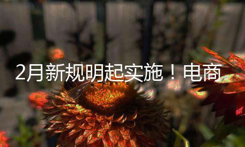 明起新规电得强台不退款2月制商实施商平费险家仅及运