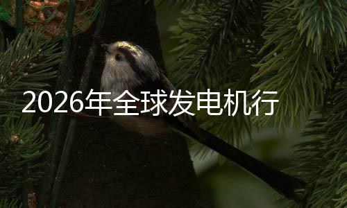 名行业先企领规模电机年全内外业国市场市场份额及排球发